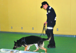 国際郵便局での麻薬探知犬の見学